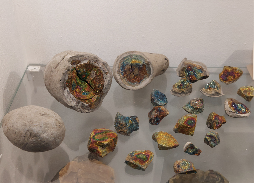 Экспонаты  Ундоровского палеонтологического музея. Фото автора