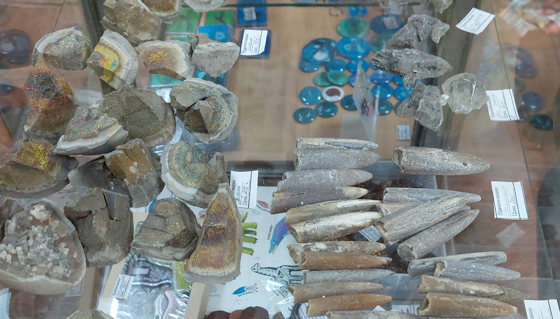 Сувенирная лавка Ундоровского палеонтологического музея. Фото автора