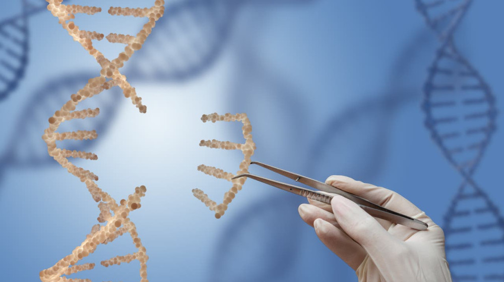    Китайские ученые тайно создают людей с иммунитетом к радиации