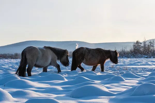 © CC BY-SA 4.0 / Ilya Varlamov
