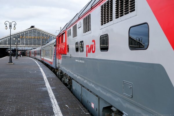 Источник: из поезда «Калининград-Москва» высадили пассажиров с УТД в старом паспорте