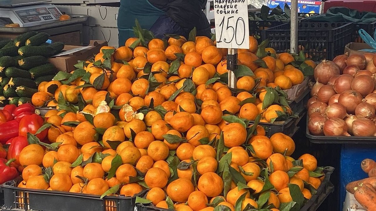    Фото: телеканал «Краснодар»