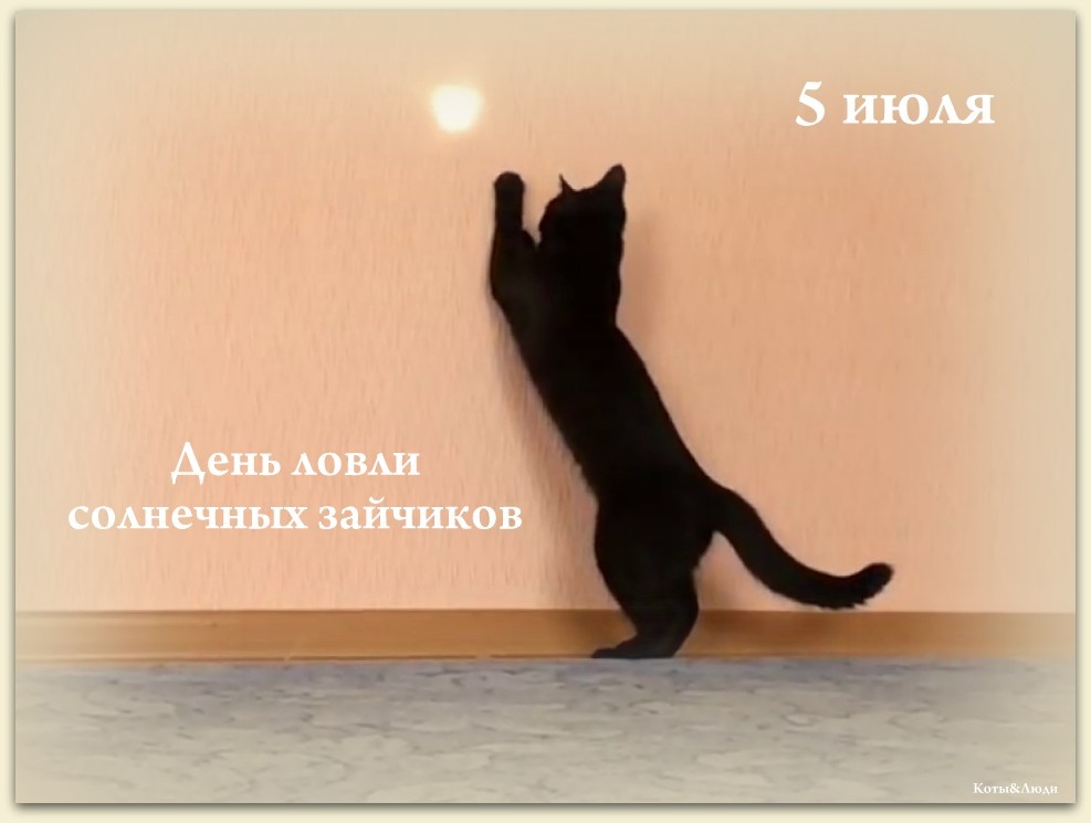 Коллаж автора. Источник: https://stihi.ru/2024/04/06/1082