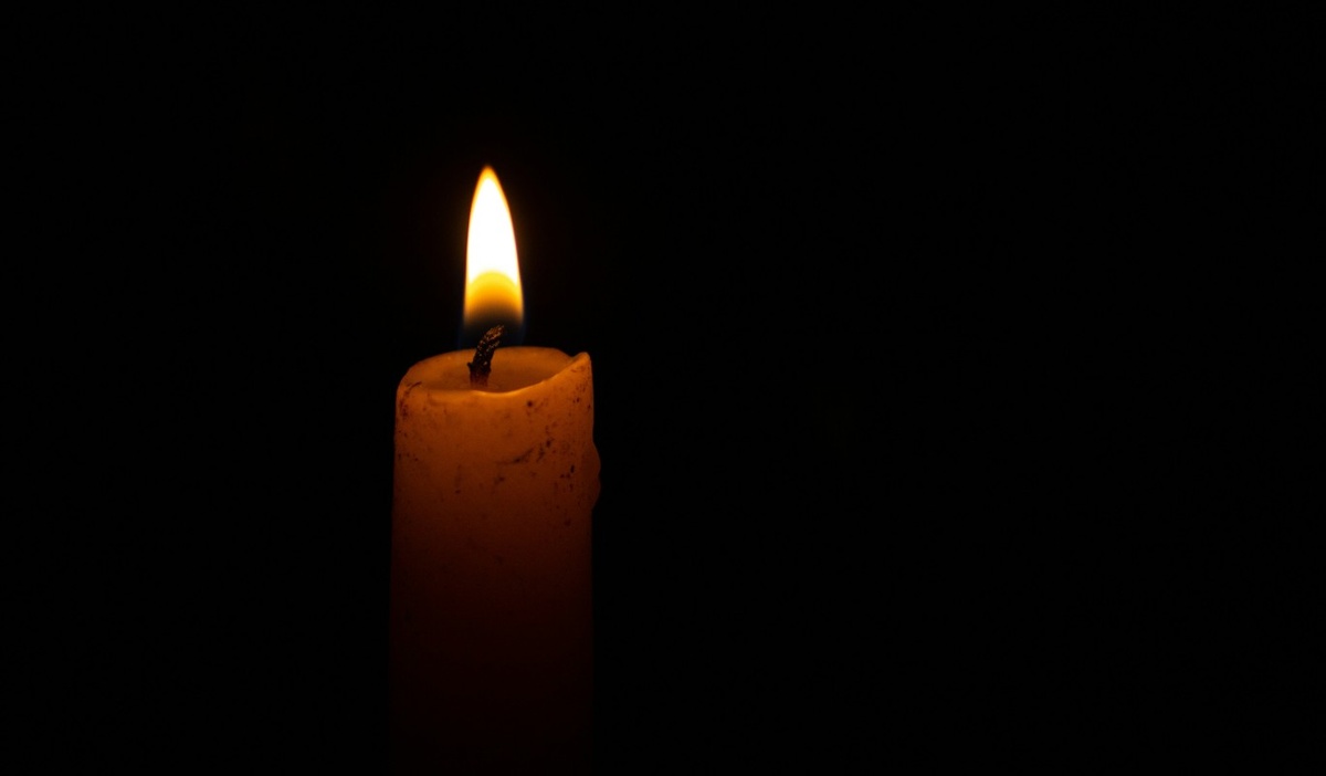    Фото: David Gomez / unsplash.com