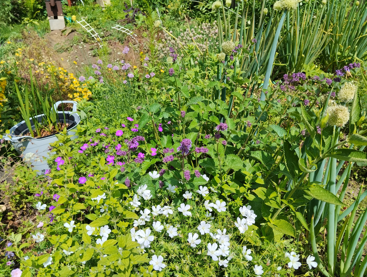 Высота около 30 см