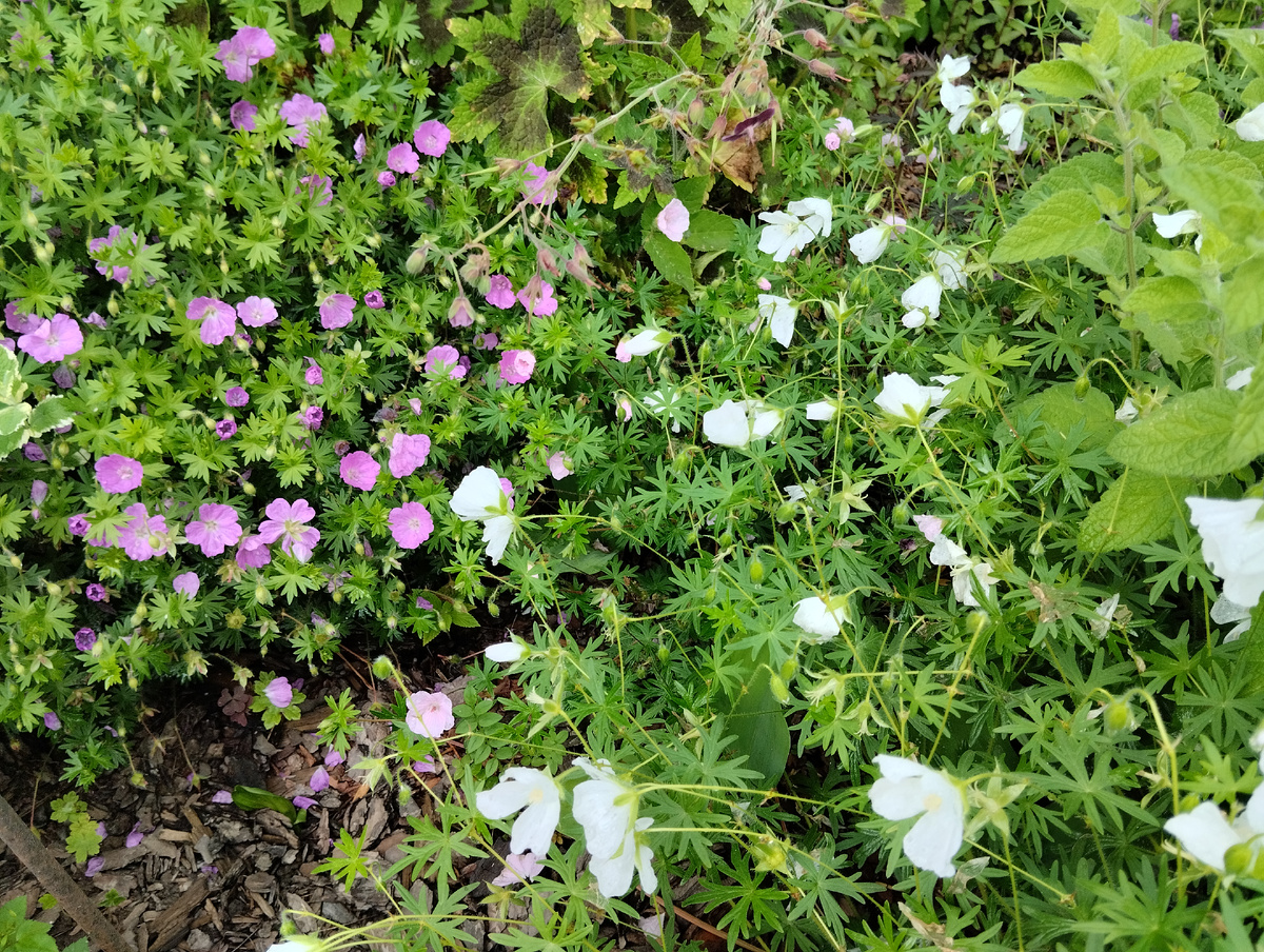 Отражает много света даже в пасмурную погоду