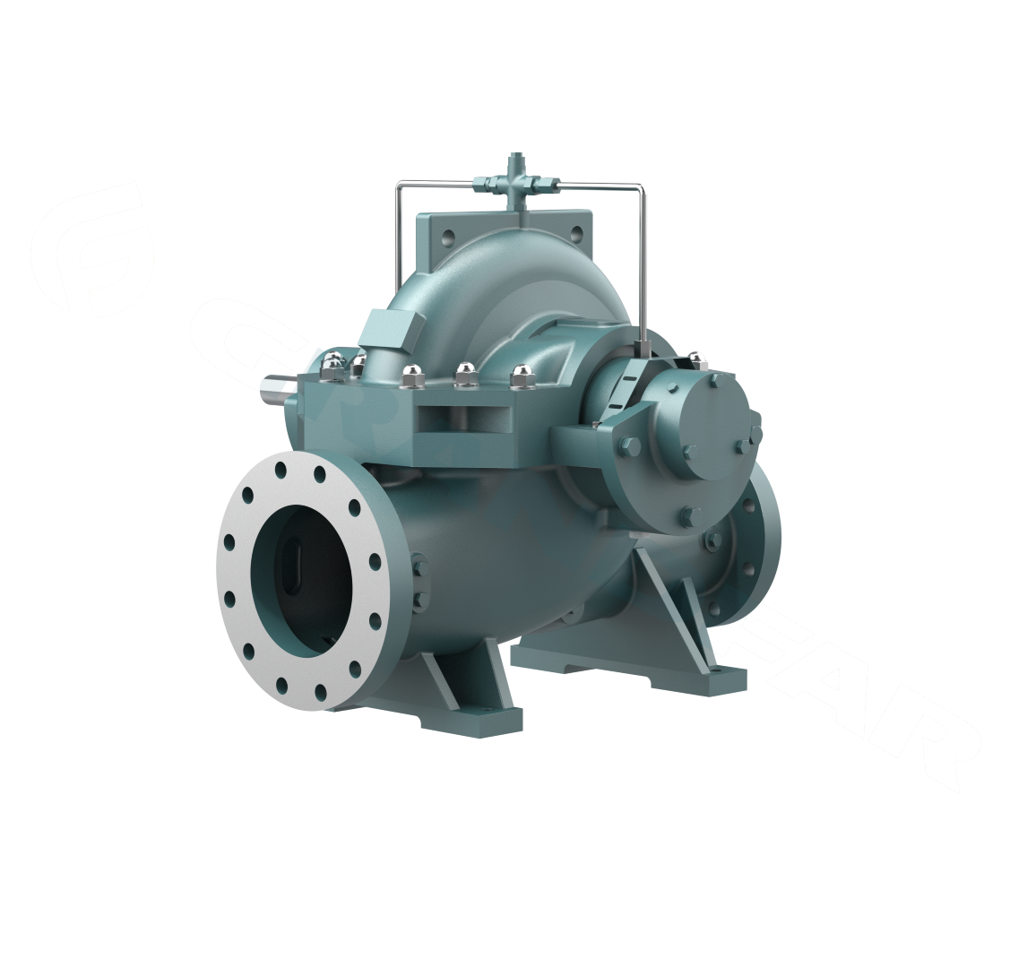 Насос двухстороннего всасывания серии SC