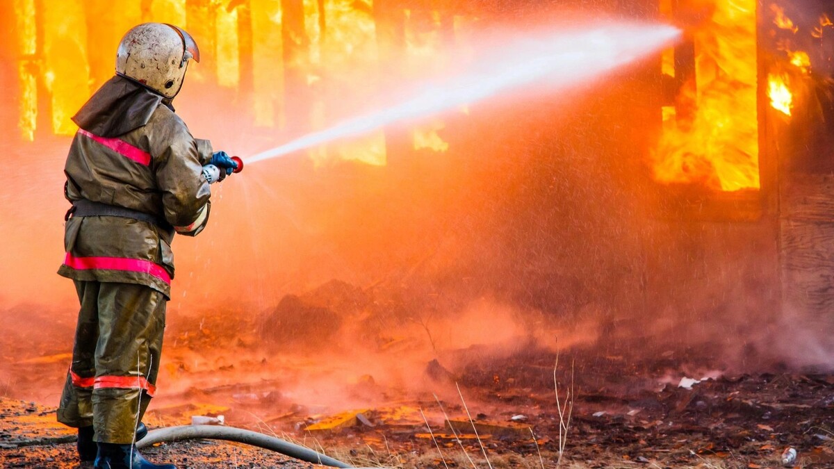    Фото: Art Konovalov/Shutterstock/Fotodom