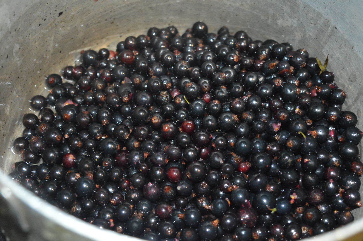 Варенье со смородиной и бананом. Шаг 2.