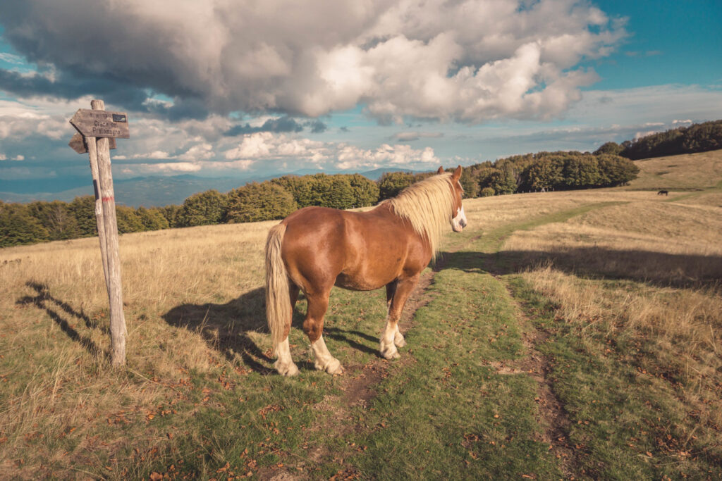    Фото: freepik.com Елена Воронцова