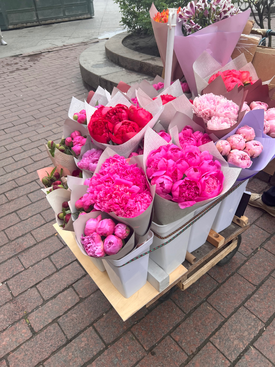 На выходе из метро встречают вот такие очаровательные пионы.