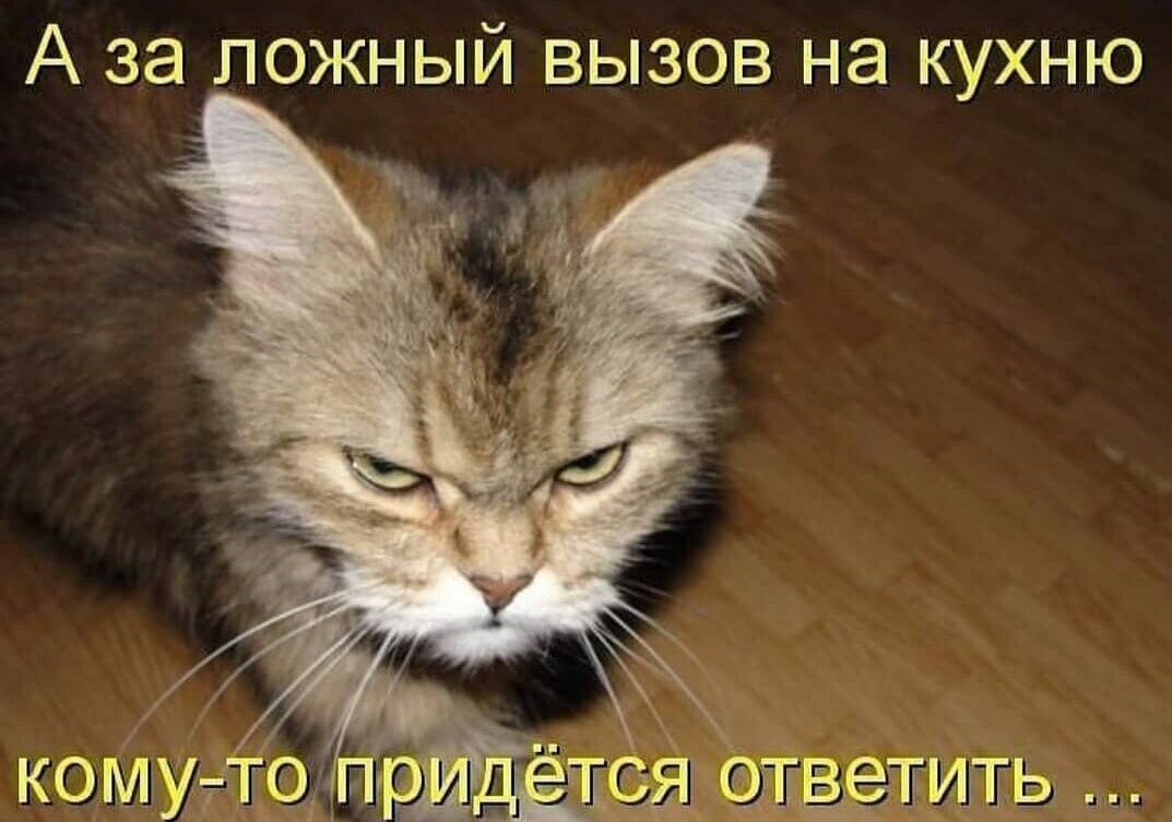 источник Яндекс-картинки