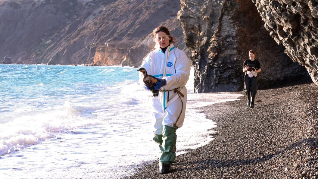    Roman Naumov/URA.RU/Globallookpress