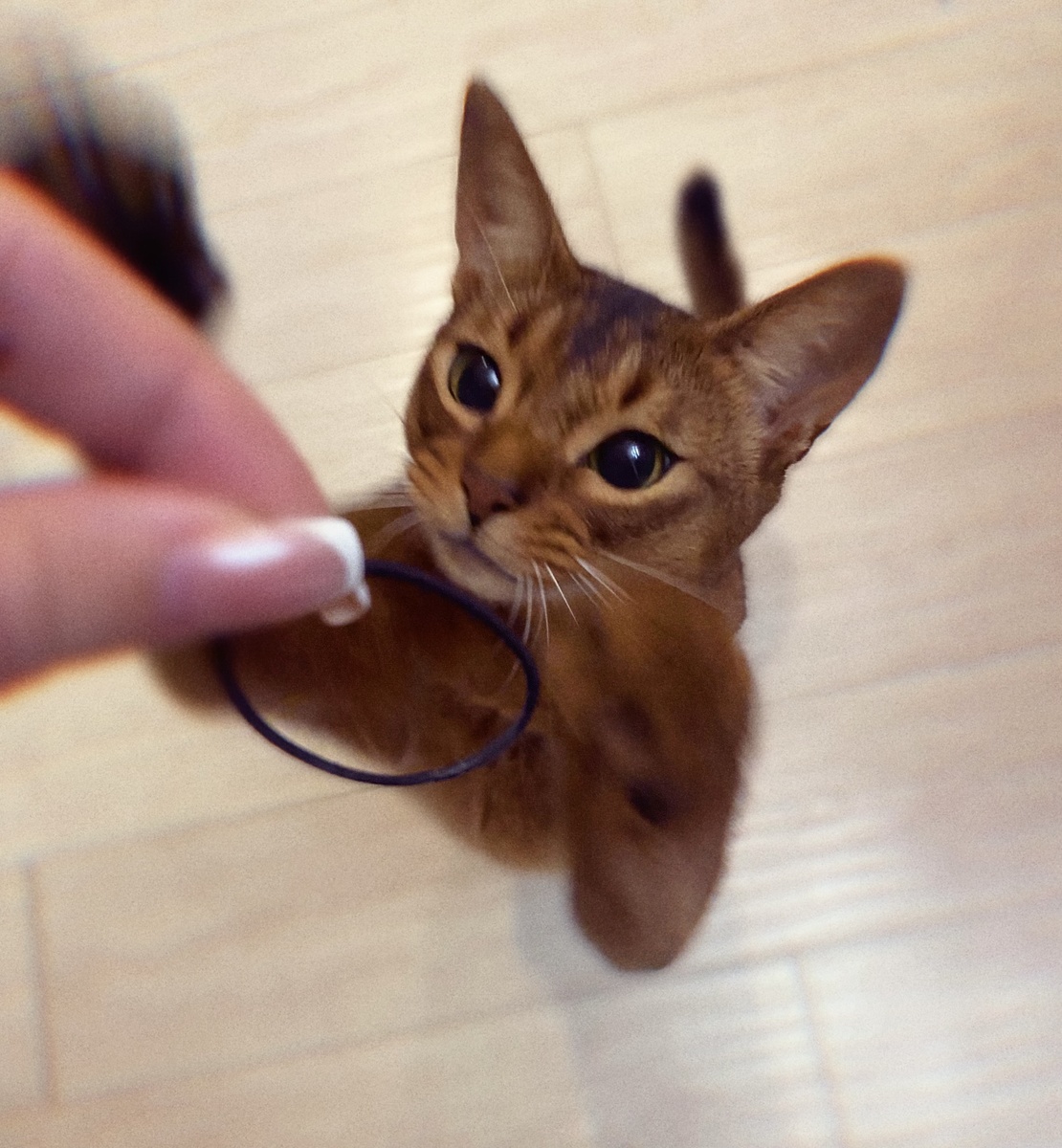 
"Просто оставь резинку — и никто не пострадает"