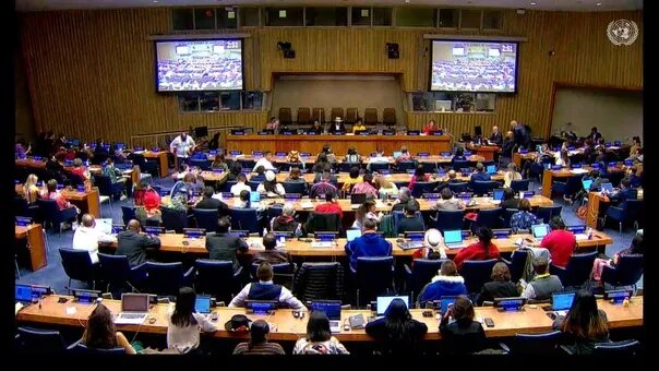 Фото: заседание форума (Источник – Ассоциация КМНСС и ДВ РФ)