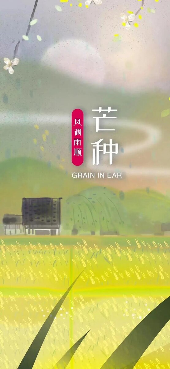 Источник изображения: baidu.com