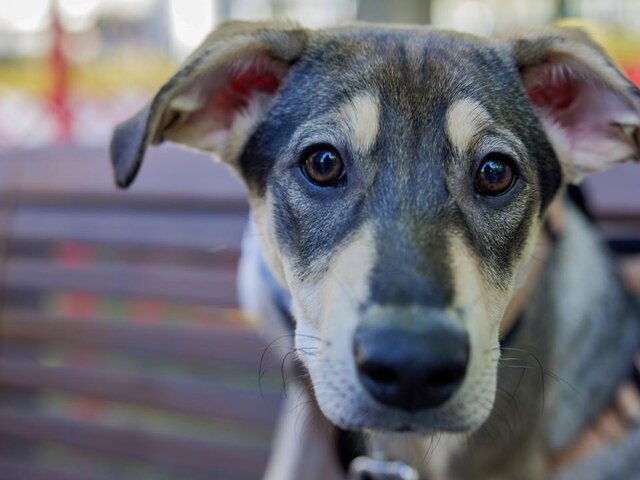    Фото: портал мэра и правительства Москвы/Максим Денисов