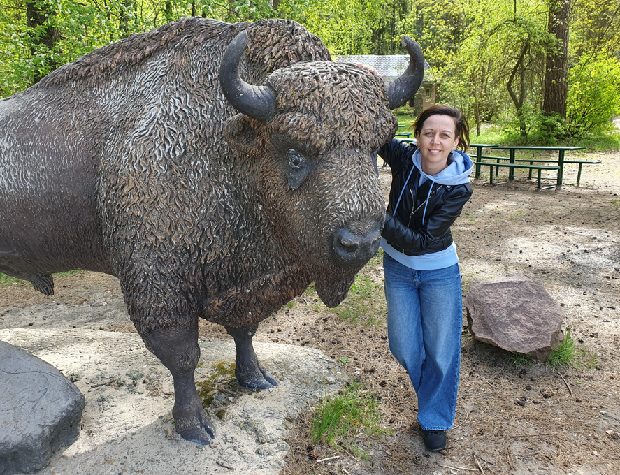 Купим дом, зубра заведём)