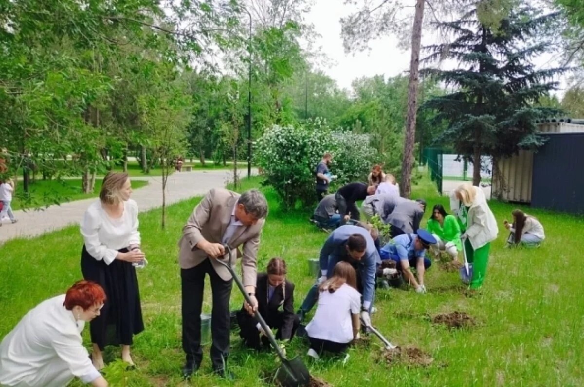    Сиренью Победы смогут насладиться волгоградцы благодаря Дню Эколога
