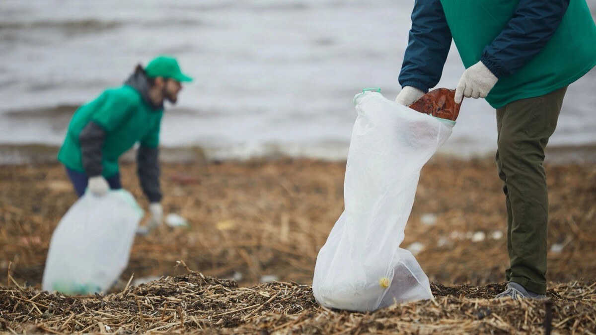    Фото: Pressmaster/Shutterstock/Fotodom