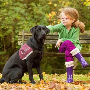    Photography by Paul Wilkinson Photography Ltd.