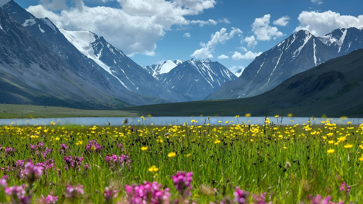 Кучерлинское озеро.