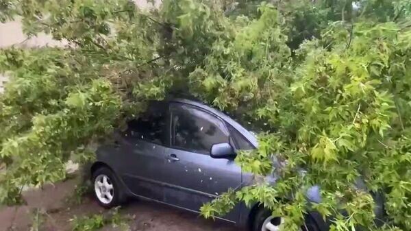    © Telegram / МЧС Беларуси