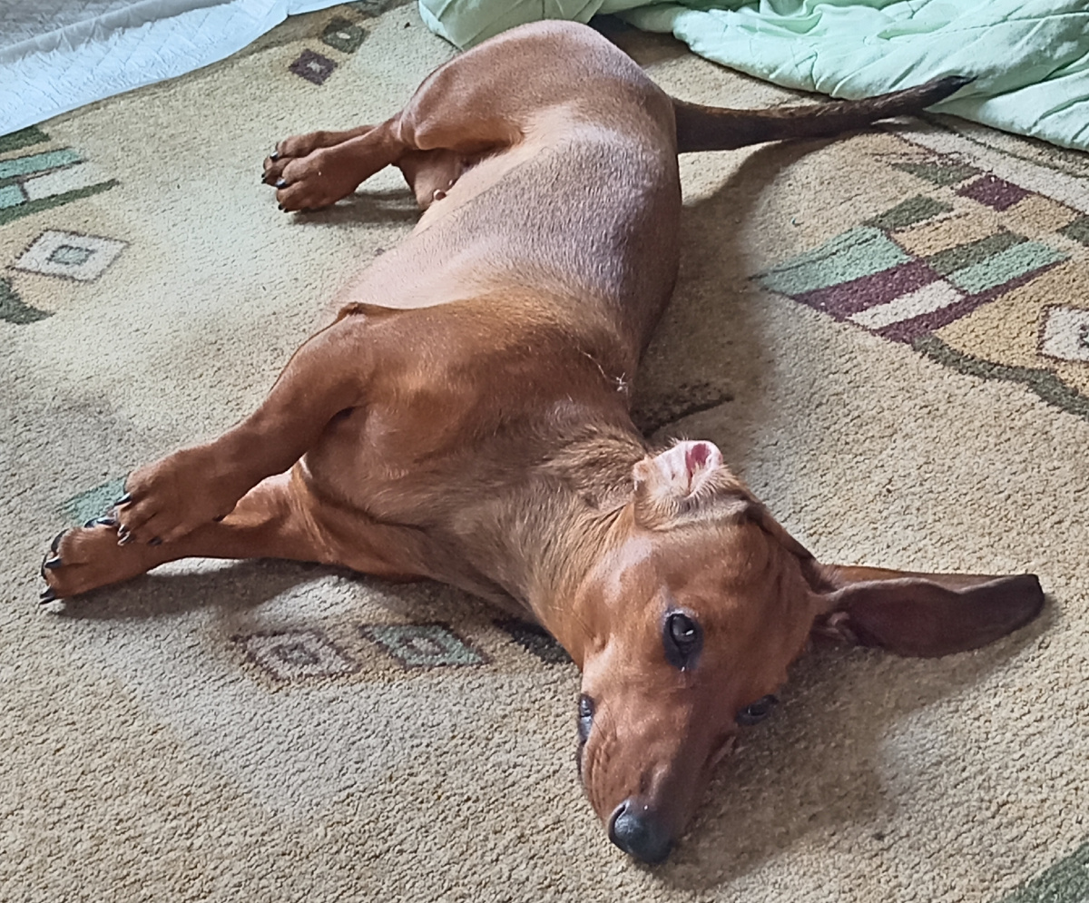 Изнываю от жары