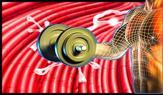 Источник: www.istockphoto.com 