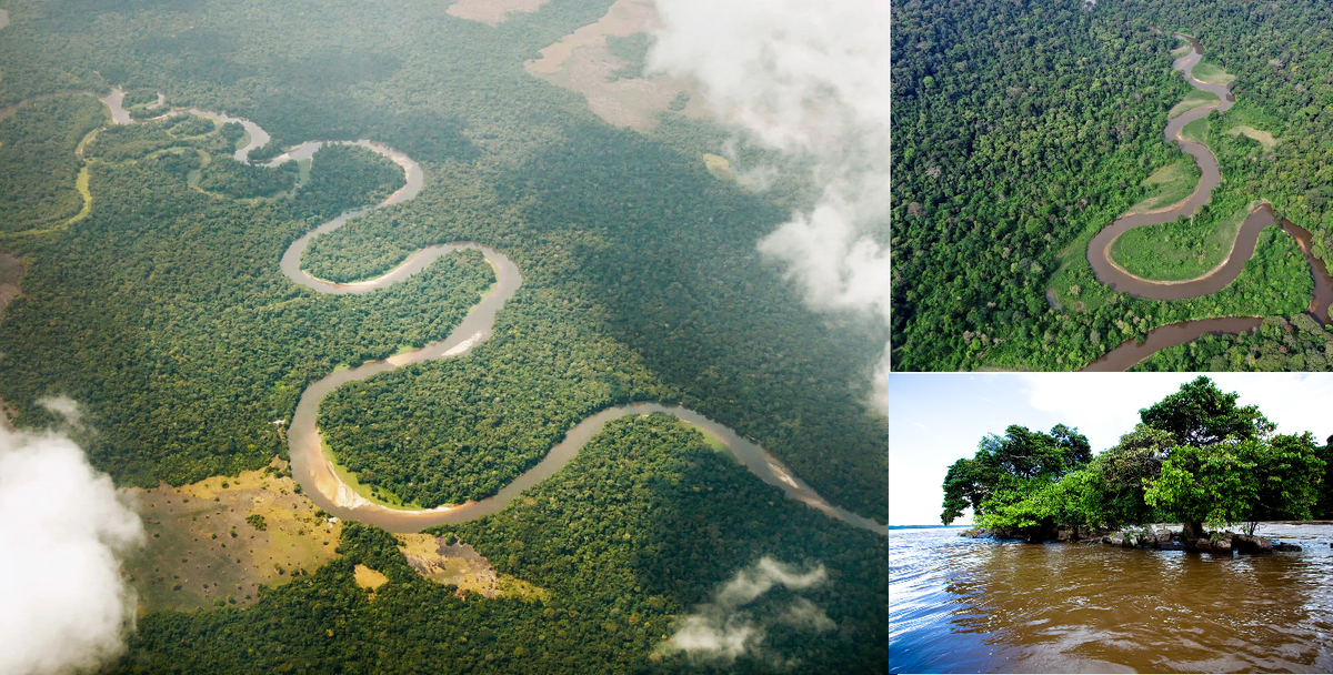 Река Конго. Коллаж автора по фото из открытых источников