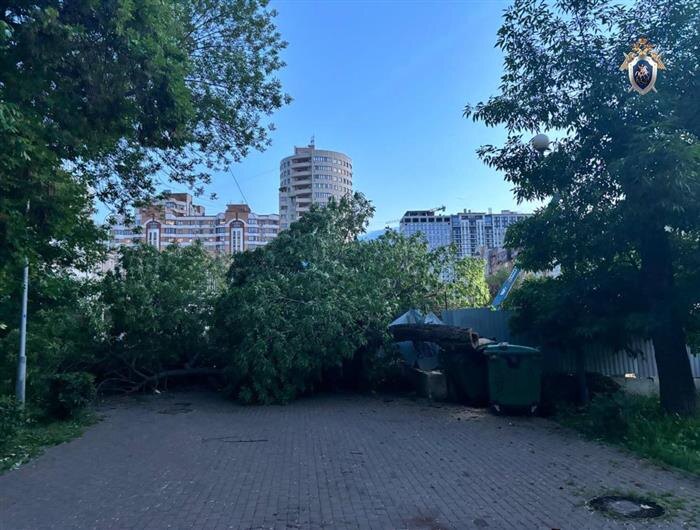    ФОТО: СУ СК по Самарской области