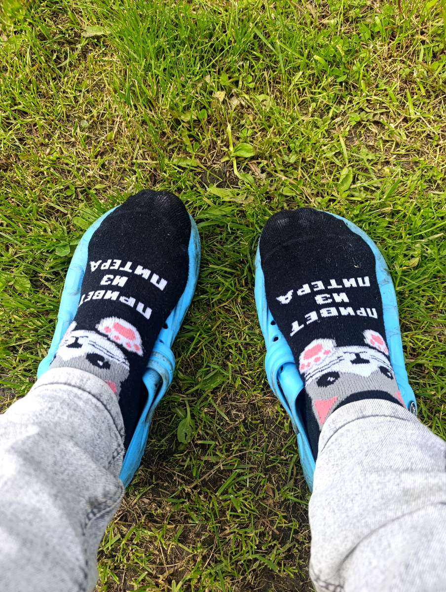 Все фото автора. 