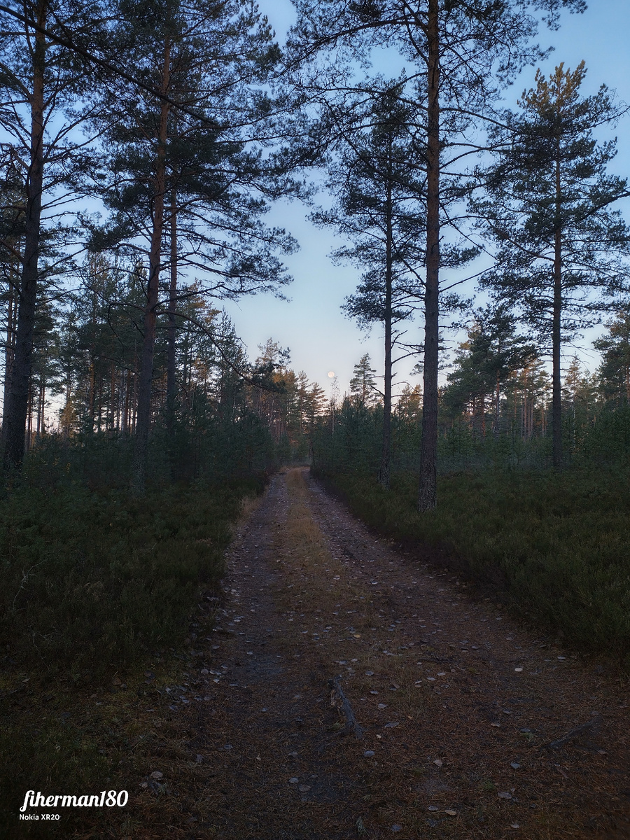 Утренняя дорога 