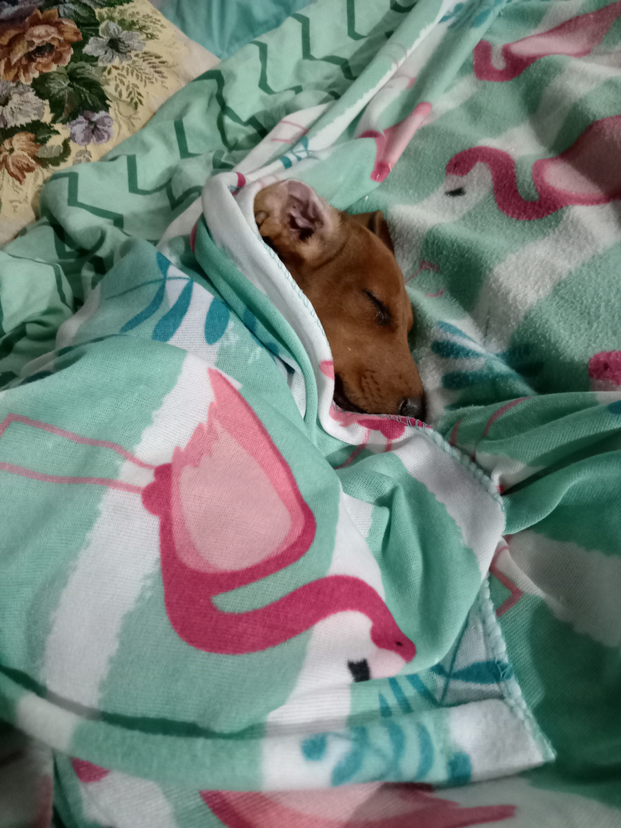 Греюсь после весёлого приключения 