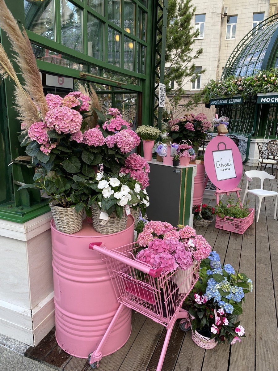 Лето в Москве 