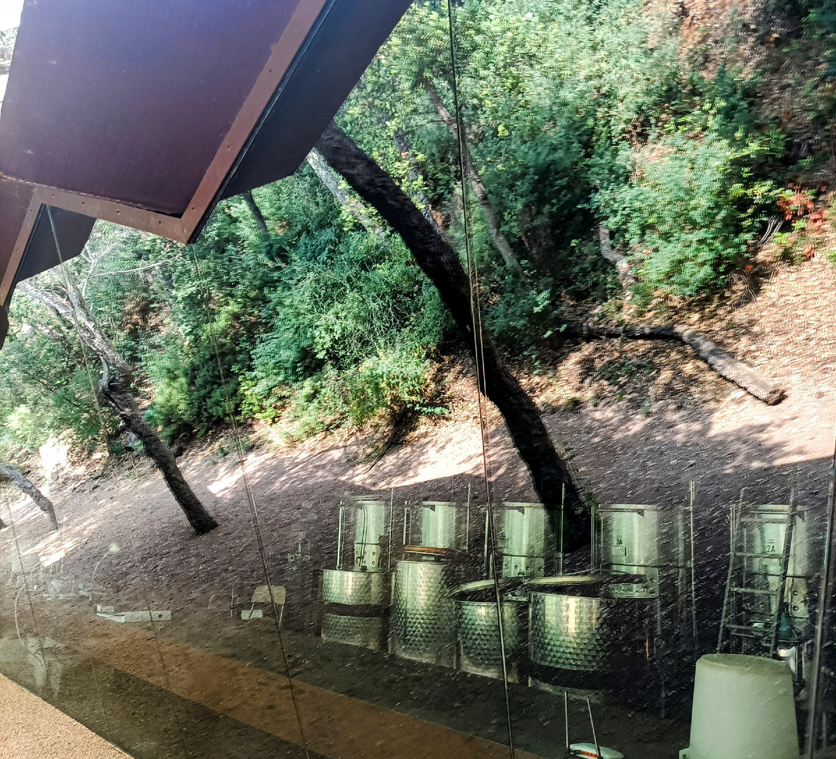 Винные погреба Brugarol.Коста Брава. Испания . Фото автора 