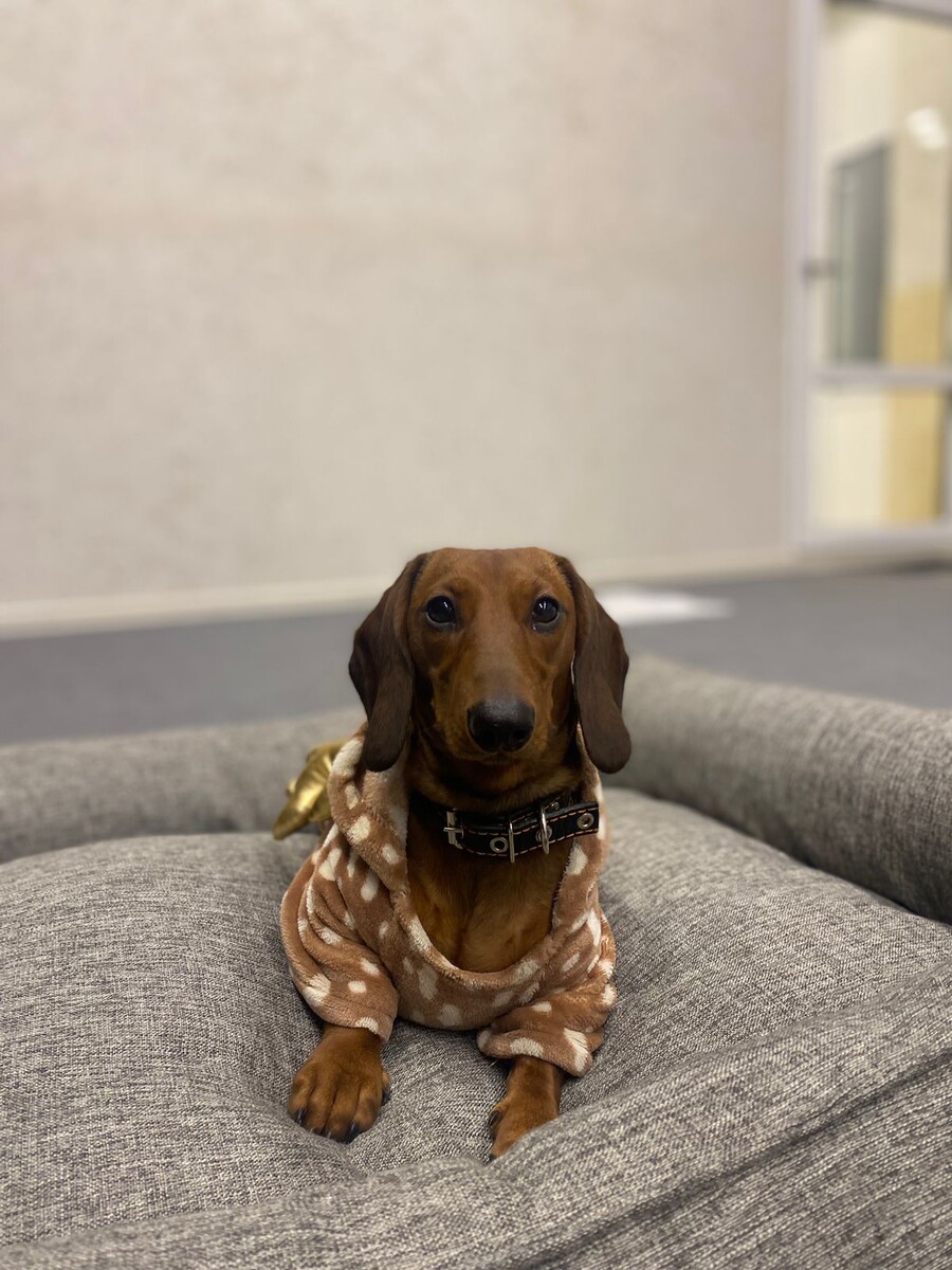 Жду свою заслуженную награду после занятия 