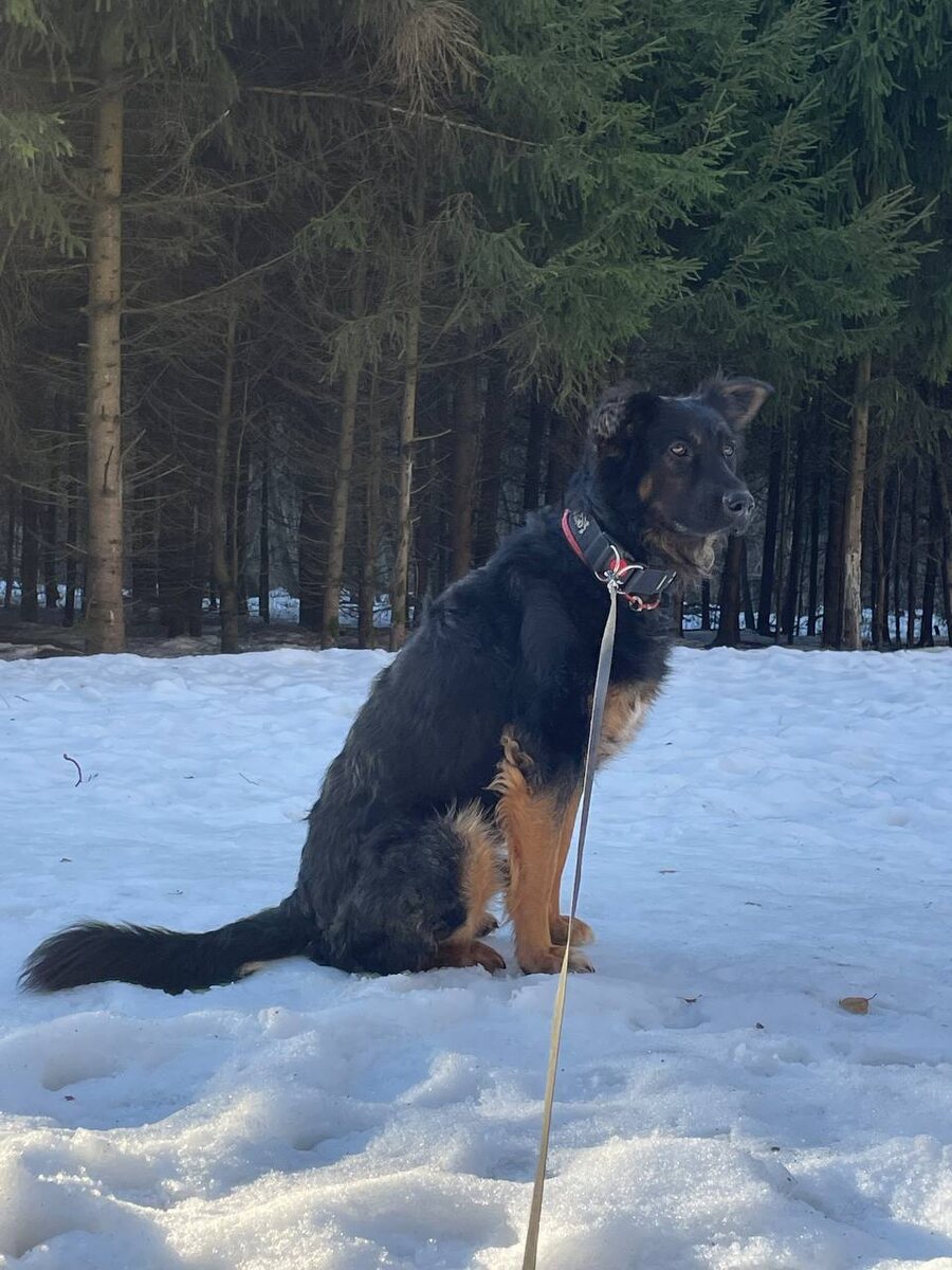 Такие фото были