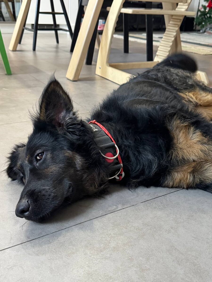 Чак понимал, что что-то происходит, но не понял что