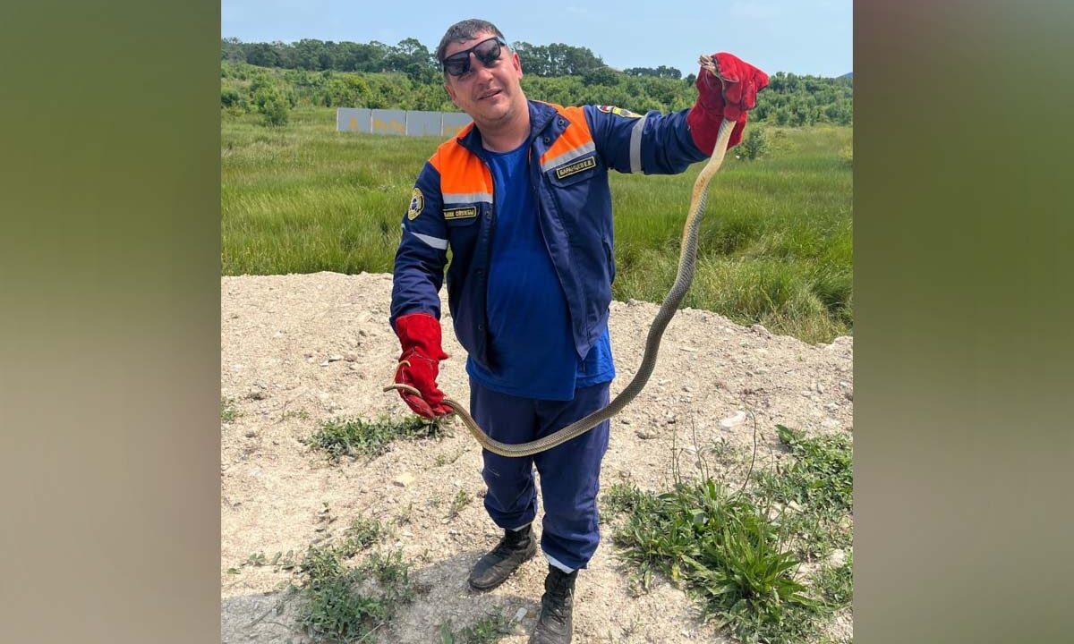    Фото t.me/alekseioderov