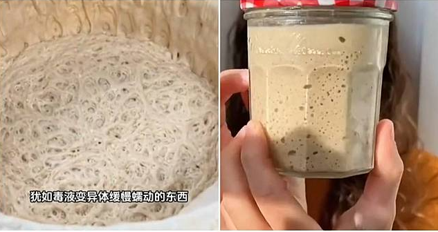 Эм... чайный гриб и то краше