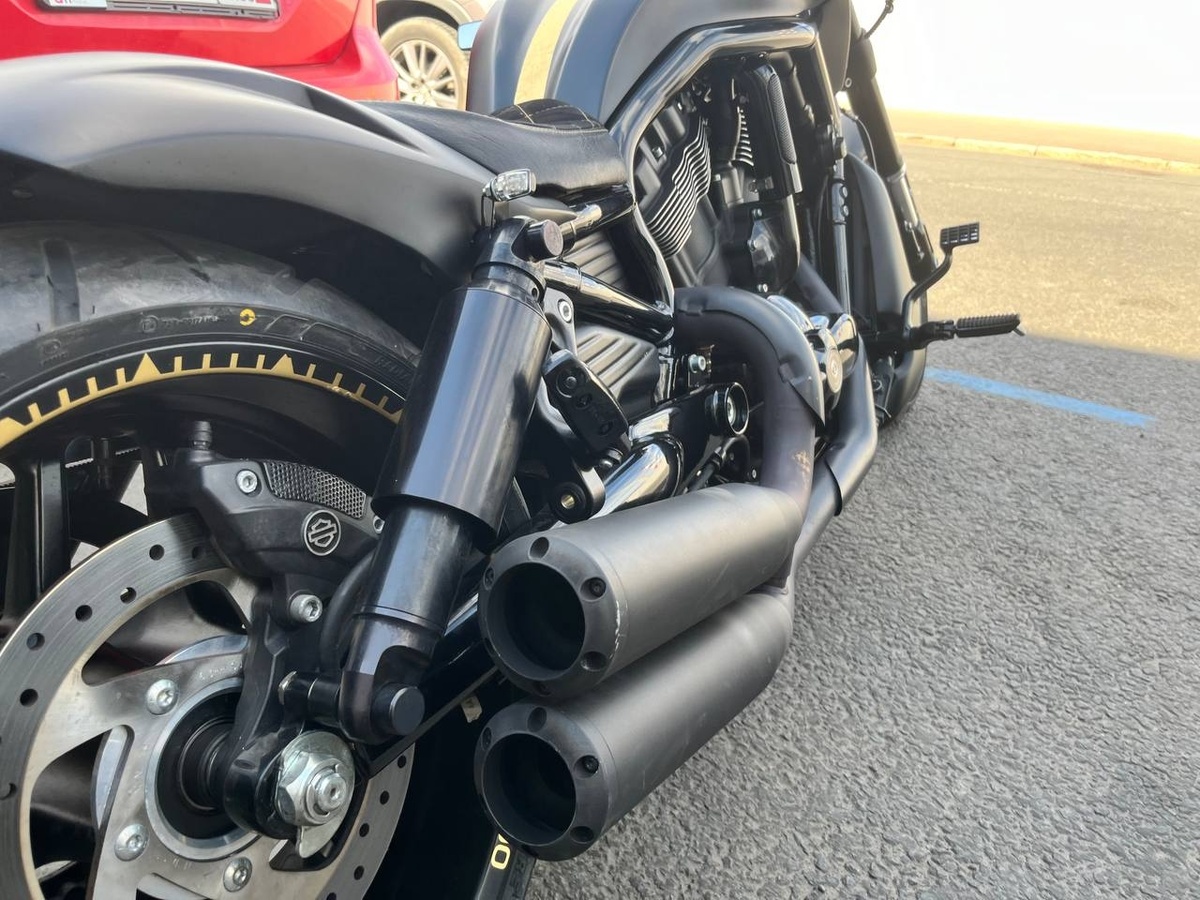 Фото: Neva.Today