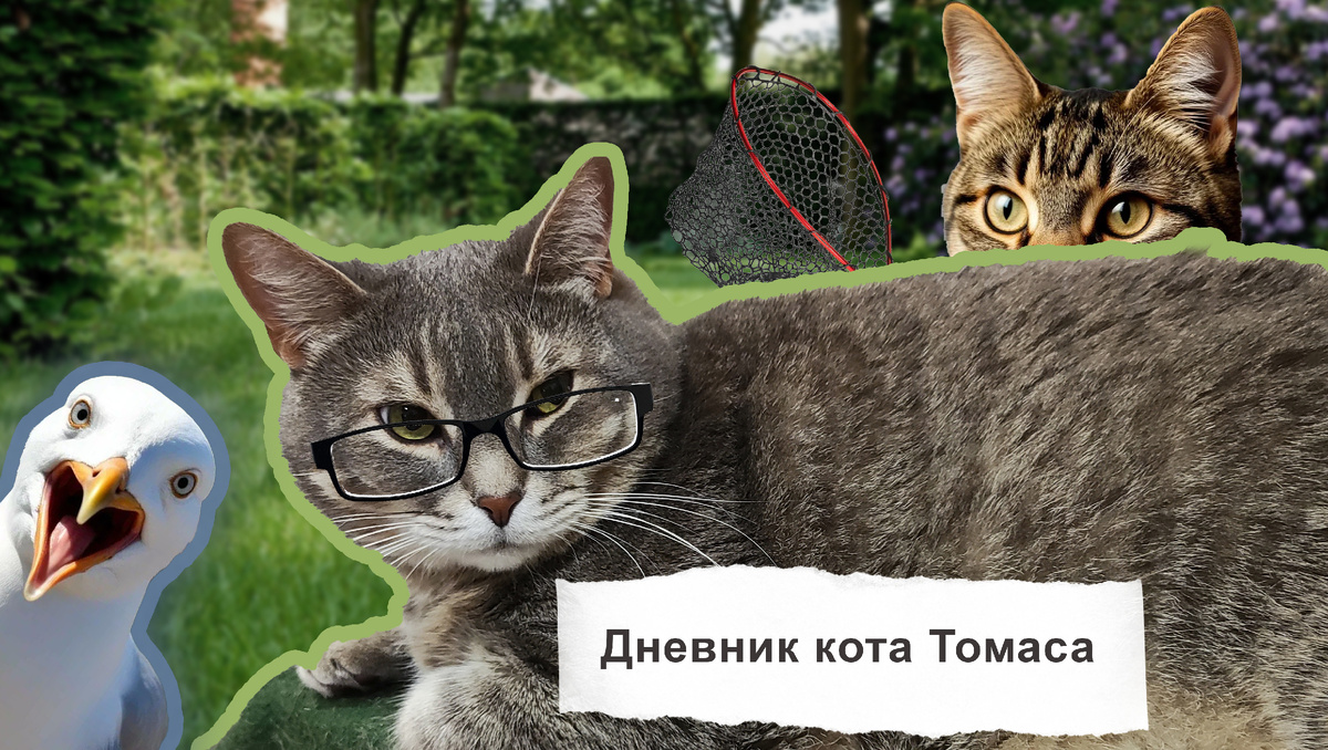 Дневник кота Томаса. Сезон охоты