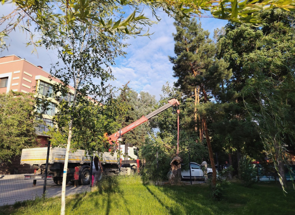    Скриншот 05-06-2025 221437