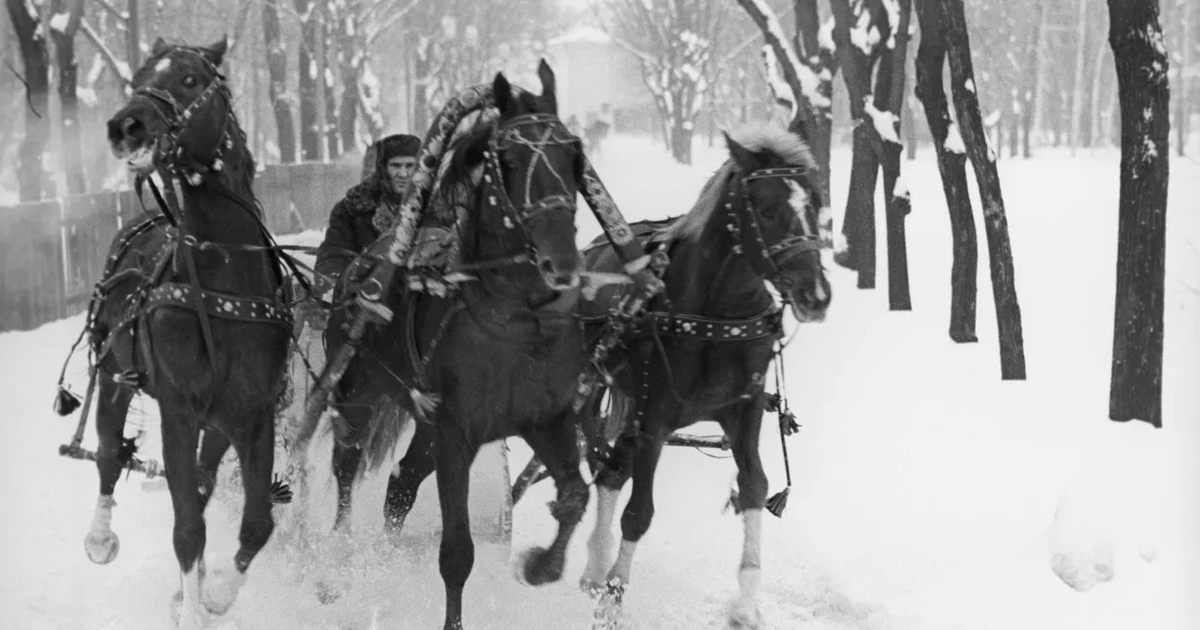 © РИА Новости Андрей Соломонов