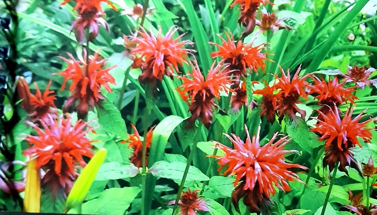 Фото автора канала