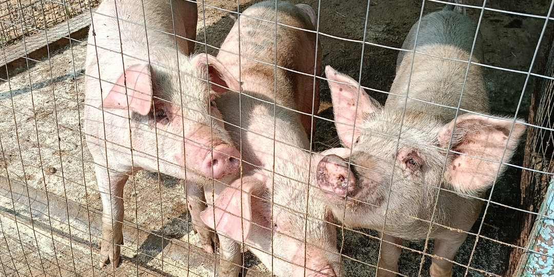 А мы вновь посетили самое душевное место в городе 💕