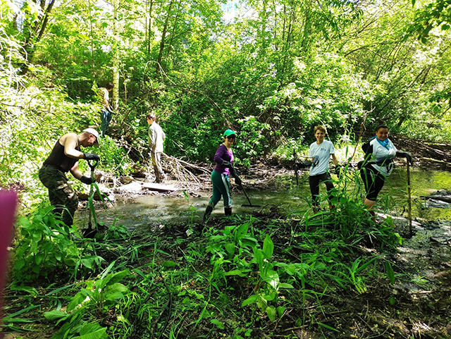 В чем сила тверских экоактивистов?