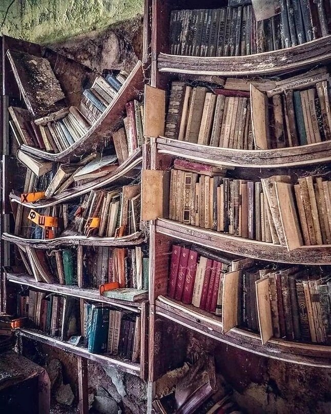 Прогибаются полки от новинок.