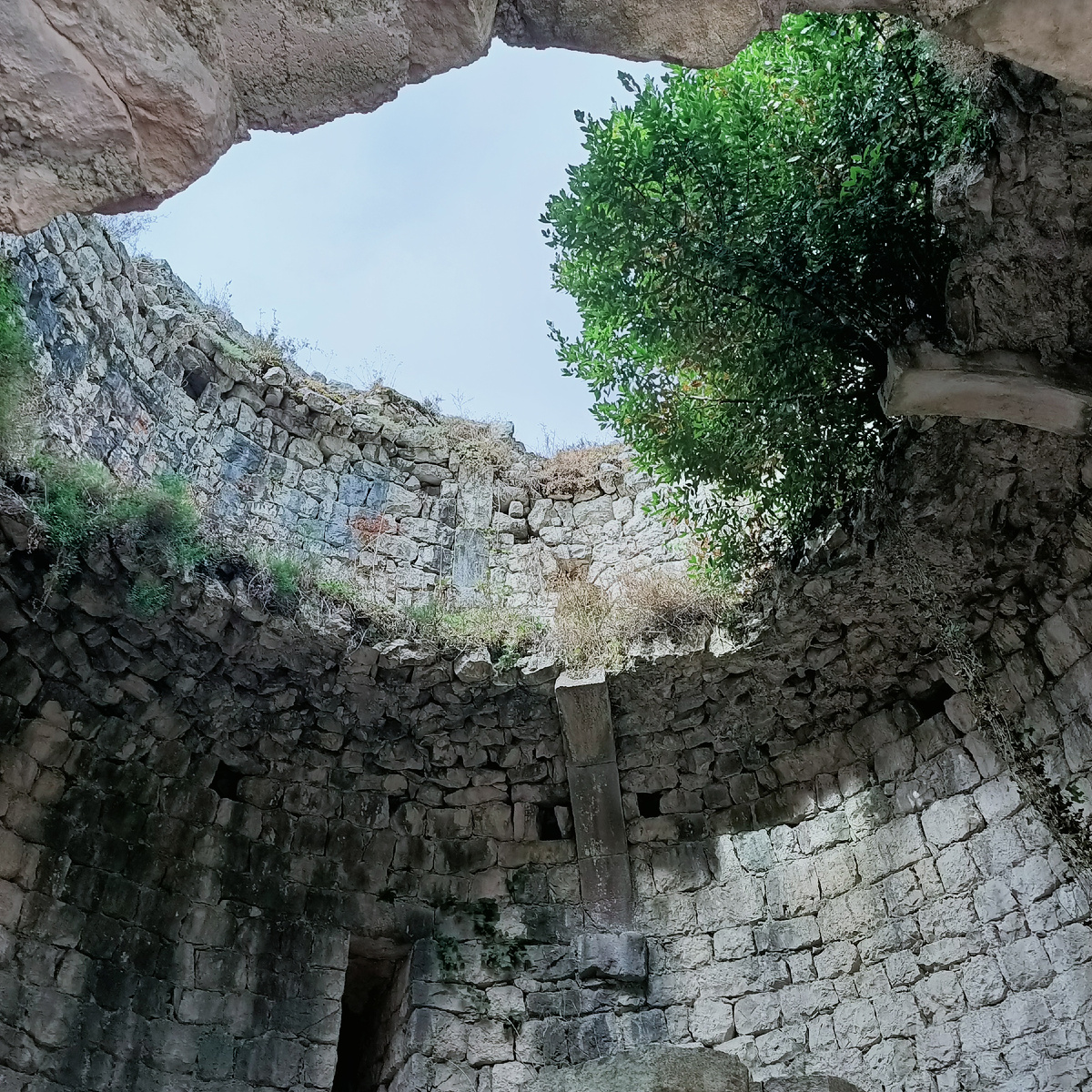 Из личного архива